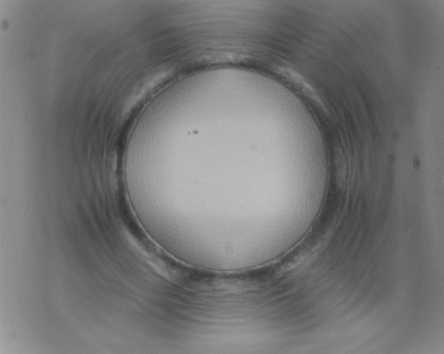 X0000075890490200610062056