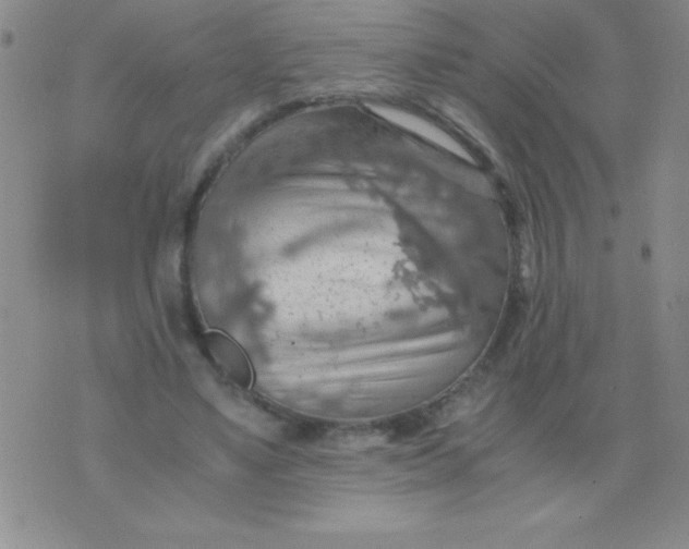 X0000075890491200610062056