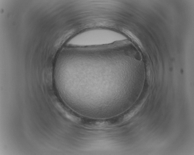 X0000075890493200610062056