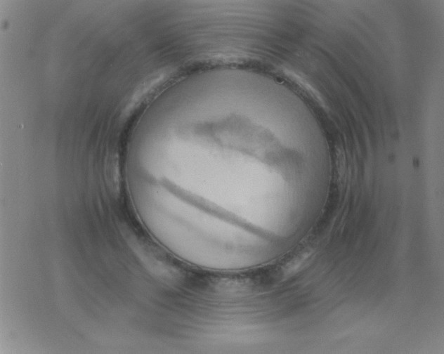 X0000075890494200610062056