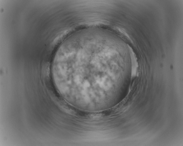 X0000075890495200610062056