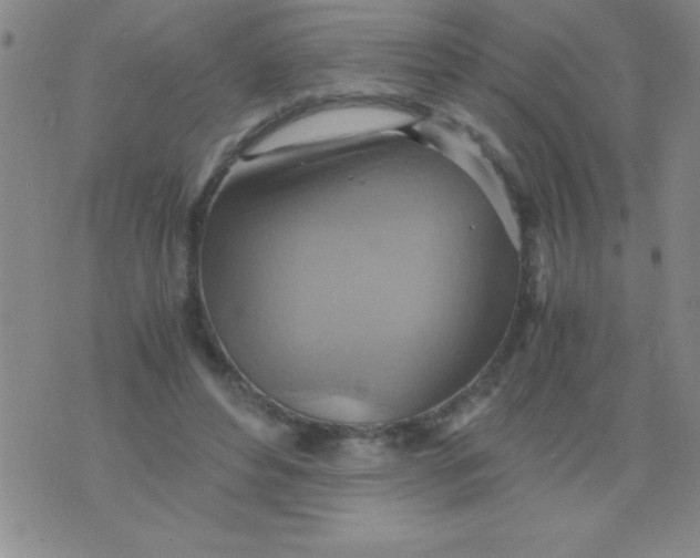 X0000075890496200610062056