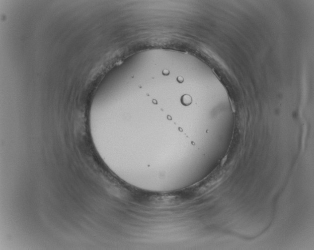 X0000075890497200610062056