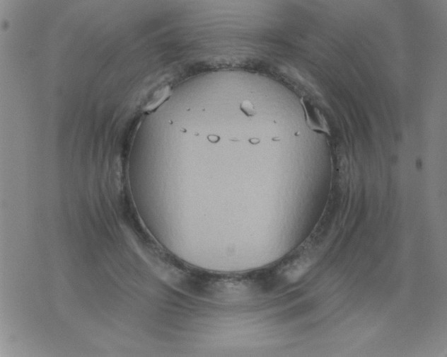 X0000075890498200610062056