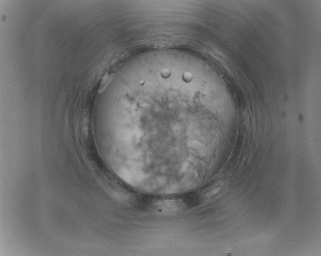 X0000075890499200610062056