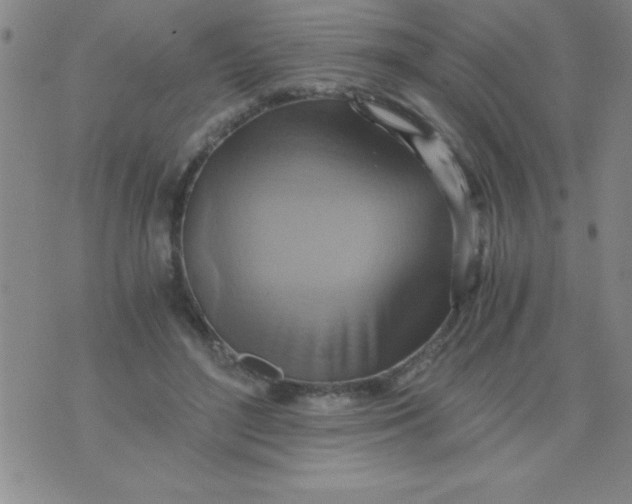 X0000075890500200610062056