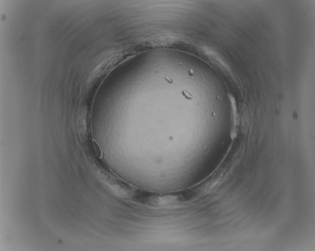 X0000075890501200610062056