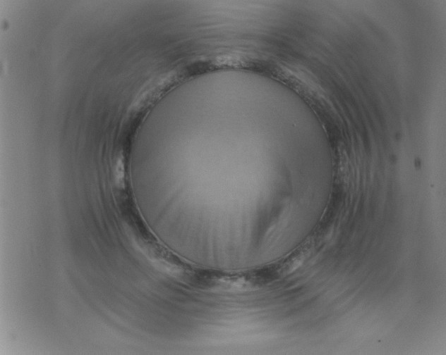 X0000075890502200610062056