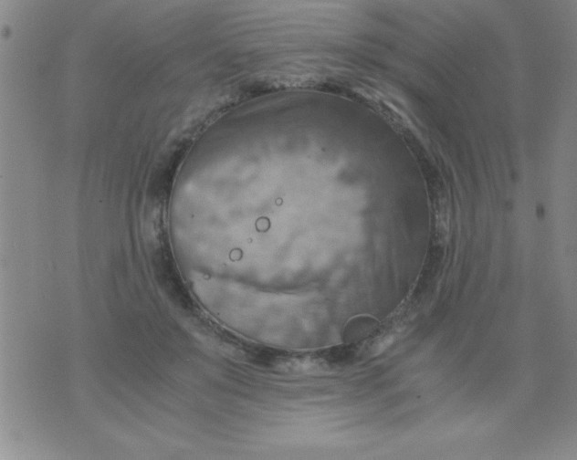 X0000075890503200610062056