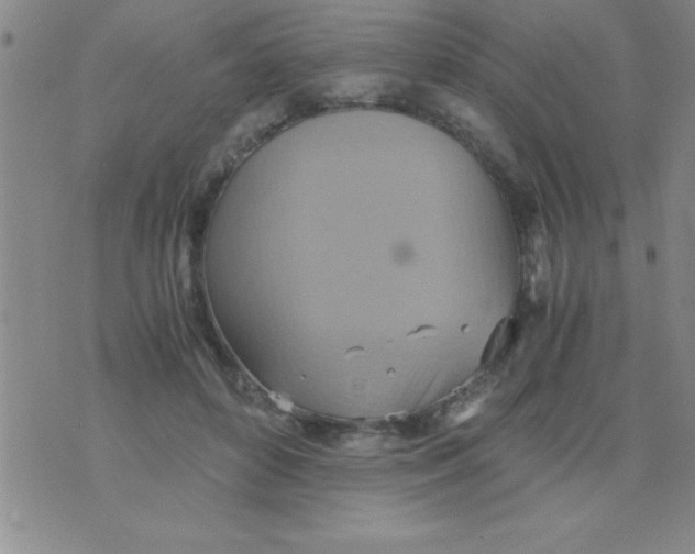 X0000075890504200610062056