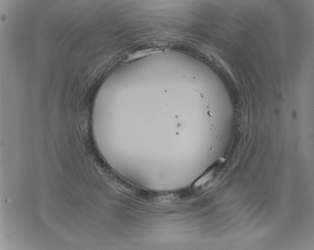 X0000075890505200610062056