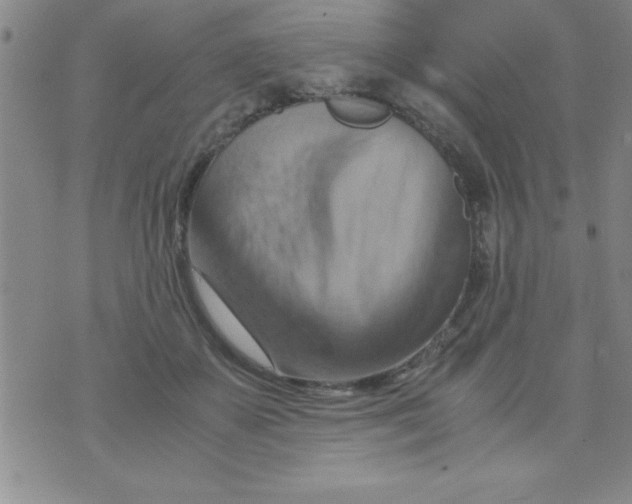 X0000075890507200610062056