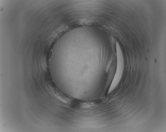 X0000075890508200610062056