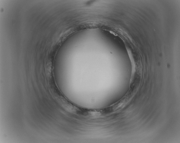 X0000075890509200610062056