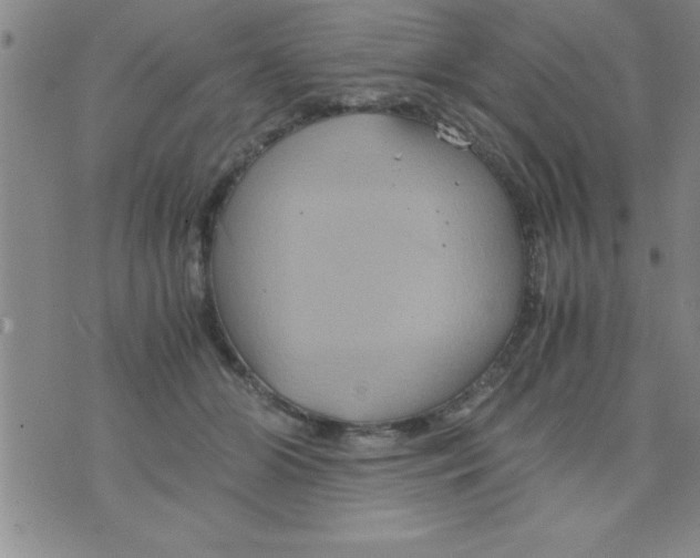 X0000075890510200610062056