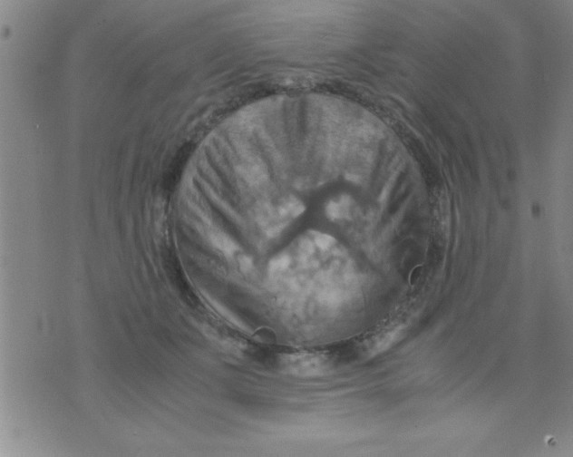 X0000075890511200610062056