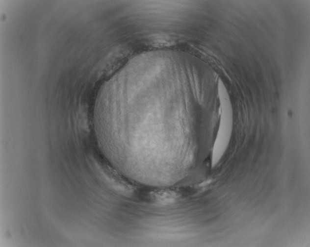 X0000075890512200610062056