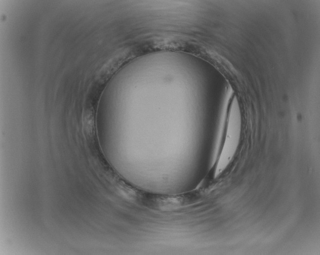 X0000075890513200610062056