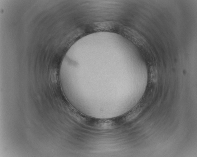 X0000075890514200610062056