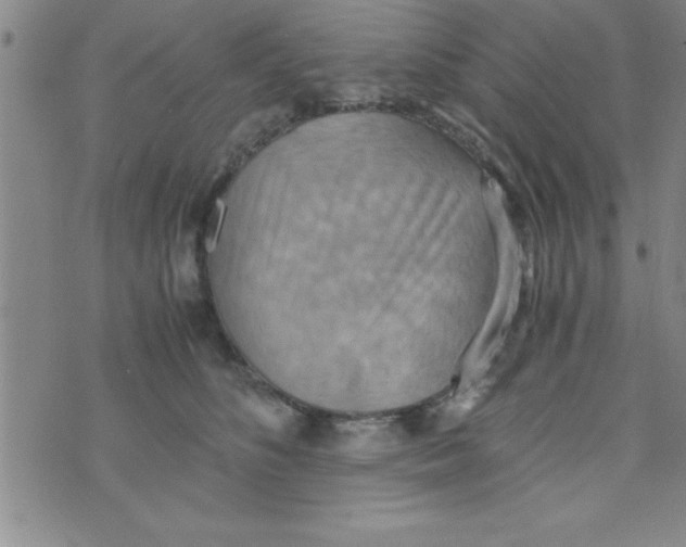 X0000075890516200610062056