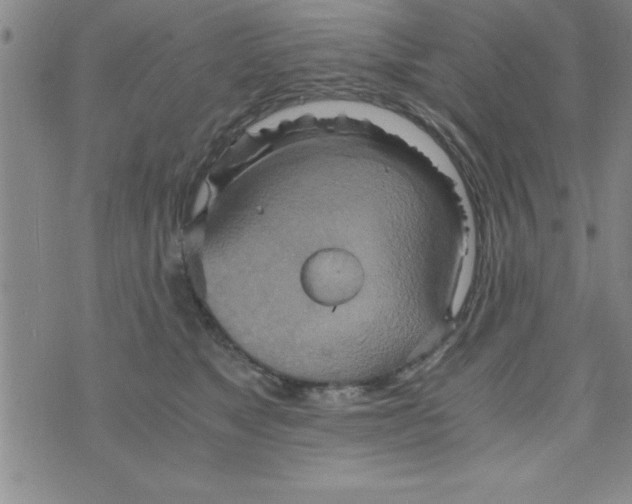 X0000075890517200610062056