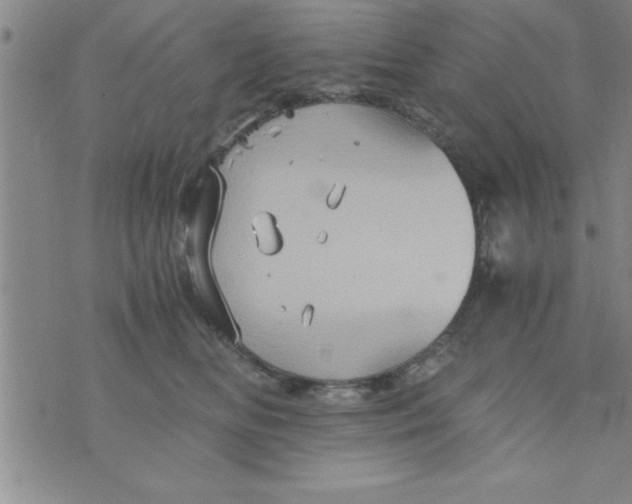 X0000075890518200610062056