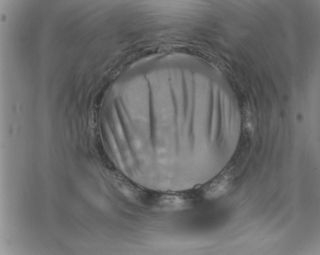 X0000075890519200610062056