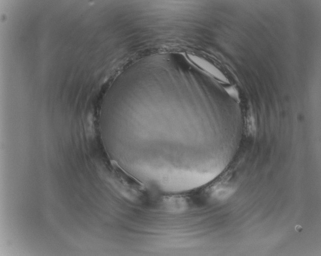 X0000075890520200610062056