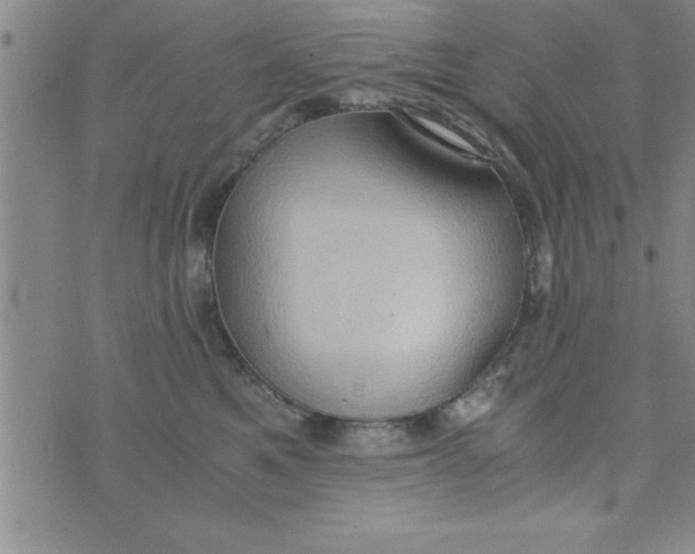 X0000075890521200610062056