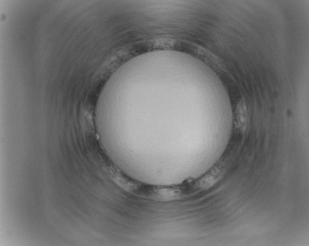 X0000075890522200610062056