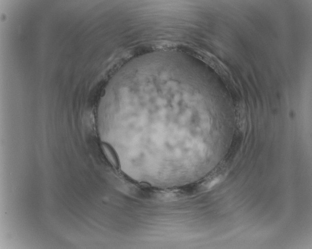 X0000075890523200610062056