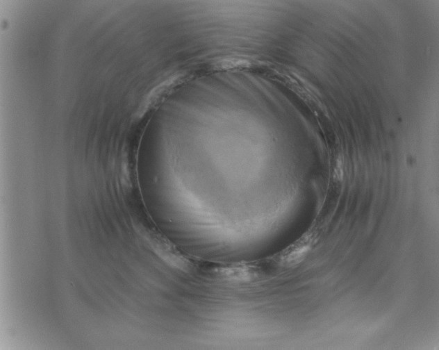 X0000075890524200610062056