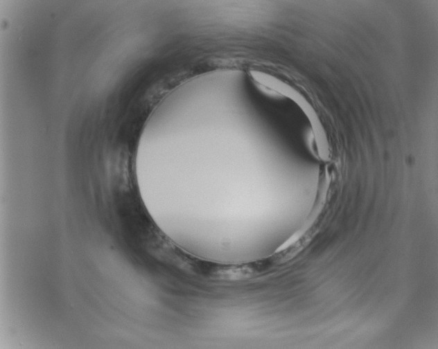 X0000075890525200610062056