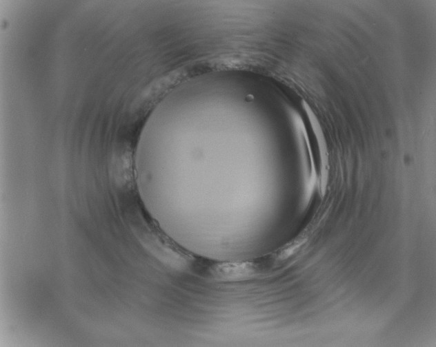 X0000075890526200610062056