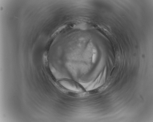 X0000075890527200610062056