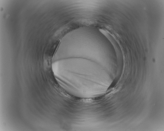 X0000075890528200610062056