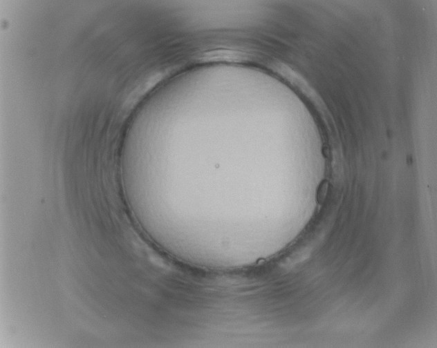 X0000075890529200610062055