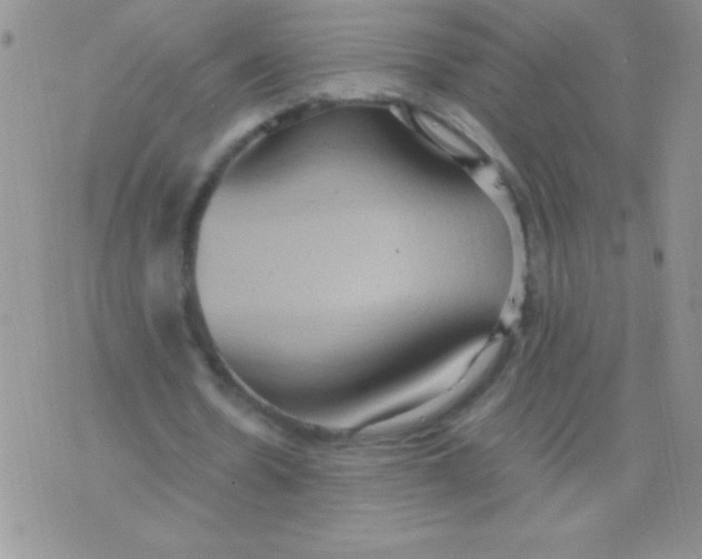 X0000075890530200610062055