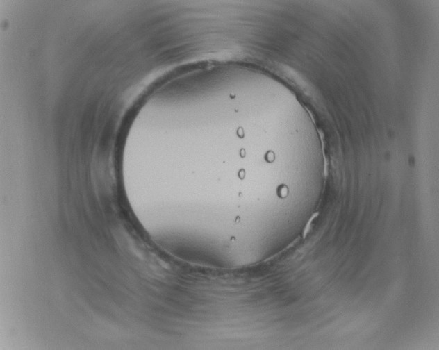 X0000075890532200610062055