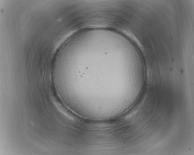 X0000075890533200610062055