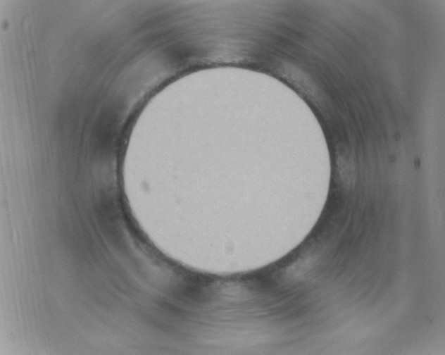 X0000075890534200610062055