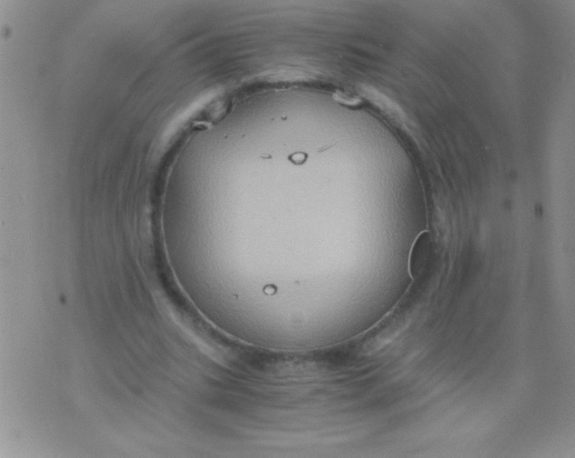 X0000075890535200610062055