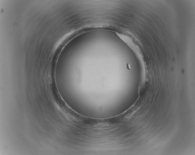 X0000075890536200610062055