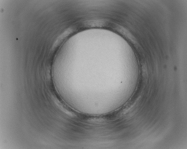 X0000075890537200610062055