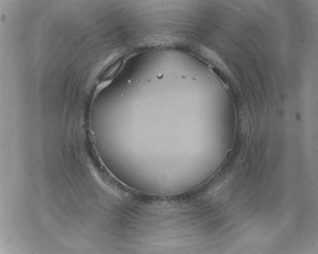 X0000075890538200610062055