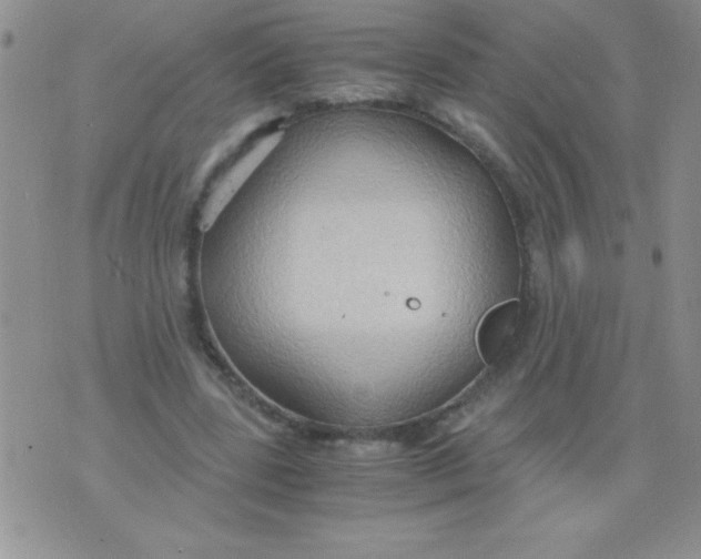 X0000075890539200610062055