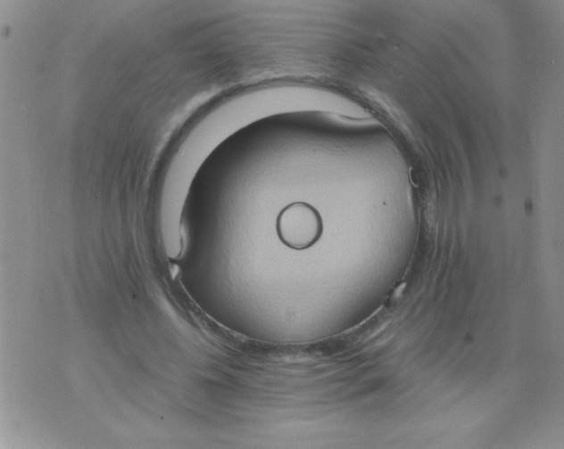 X0000075890540200610062055