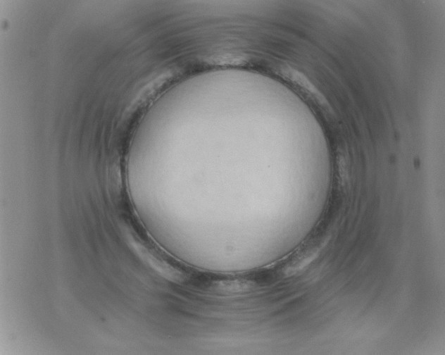 X0000075890541200610062055