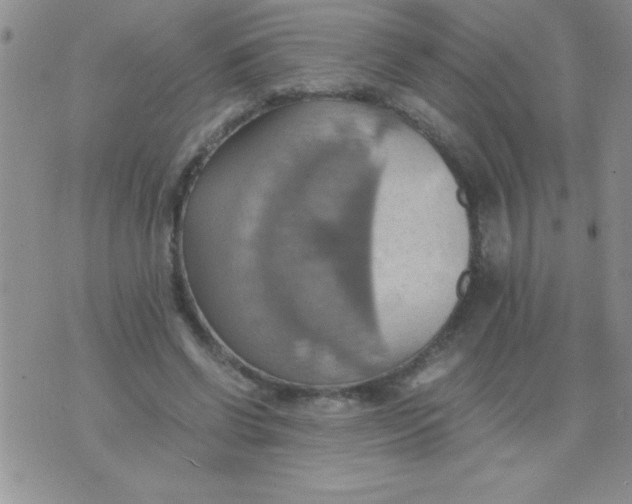 X0000075890542200610062055