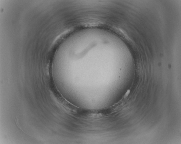 X0000075890543200610062055